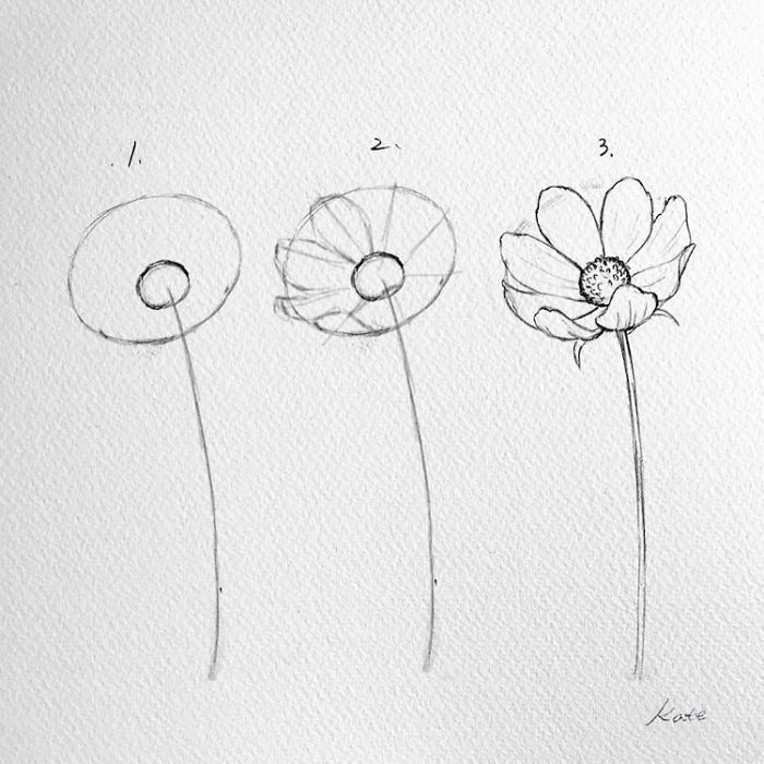 flower - flower -   16 most beauty Drawings ideas