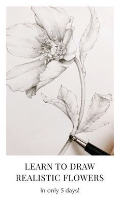 Flower Drawing Challenge — Blushed Design - Flower Drawing Challenge — Blushed Design -   16 most beauty Drawings ideas