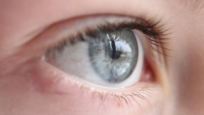 The truth about gray eyes - The truth about gray eyes -   17 beauty Eyes grey ideas