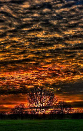 'Sunset over Willow Park.' Canvas Print by Nigel Butterfield - 'Sunset over Willow Park.' Canvas Print by Nigel Butterfield -   beauty Images amazing photos