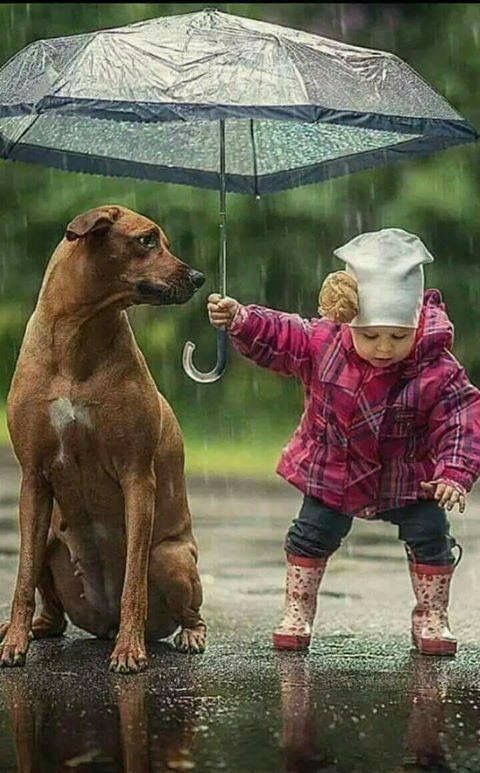 Top 11 Amazing Pictures Of Childrens with Their Pets | by Pets Planet... - Top 11 Amazing Pictures Of Childrens with Their Pets | by Pets Planet... -   17 beauty Images amazing photos ideas