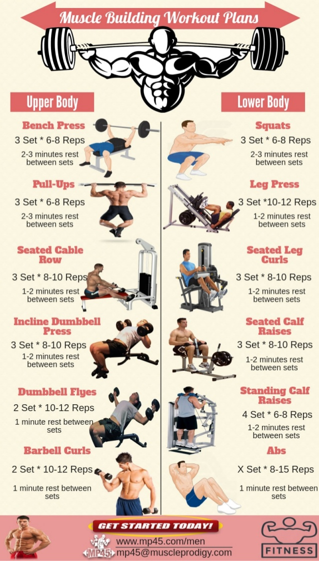 Muscle Building Workout Routine For Men - Muscle Building Workout Routine For Men -   17 fitness Routine for men ideas