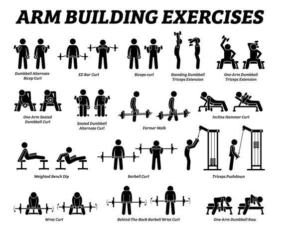 Arm Hand Body Building Exercise Muscle Workout Weights Weight Training Gym Machine Biceps Shoulders - Arm Hand Body Building Exercise Muscle Workout Weights Weight Training Gym Machine Biceps Shoulders -   17 fitness Routine for men ideas