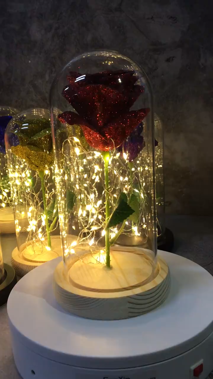 LED Rose Lamp - LED Rose Lamp -   beauty And The Beast gifts