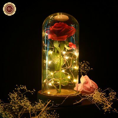 Beauty And The Beast Enchanted Rose Glass Dome LED Lighted Wedding Decor Gift - Beauty And The Beast Enchanted Rose Glass Dome LED Lighted Wedding Decor Gift -   18 beauty And The Beast gifts ideas