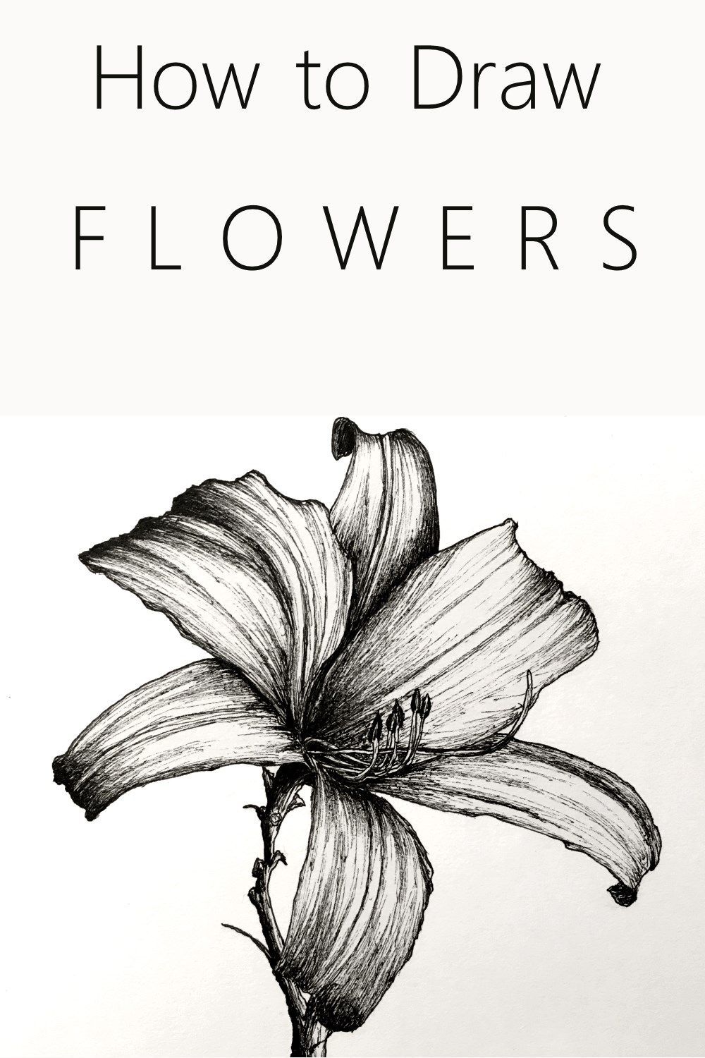 How to Draw Flowers - How to Draw Flowers -   18 beauty Art flowers ideas