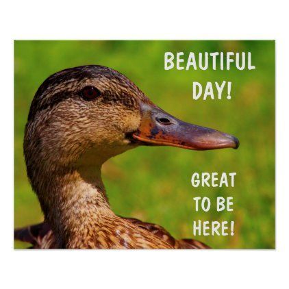 Beautiful Day Inspirational Duck Poster | Zazzle.com - Beautiful Day Inspirational Duck Poster | Zazzle.com -   18 beauty Day inspiration ideas