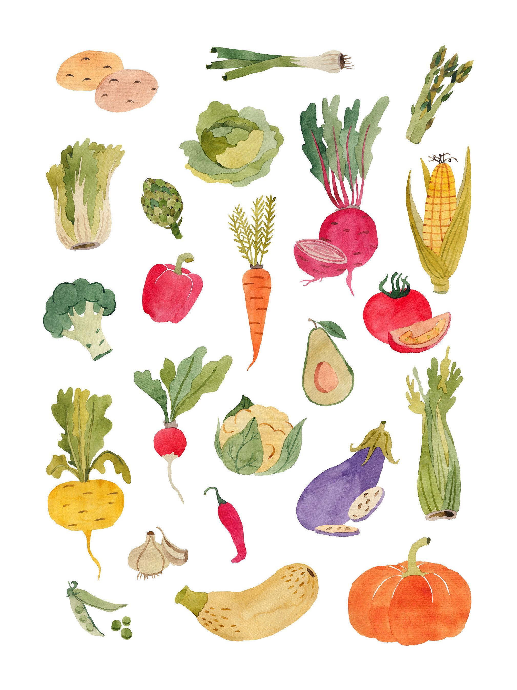 Vegetables print. Watercolor vegetables poster. Decor in the | Etsy - Vegetables print. Watercolor vegetables poster. Decor in the | Etsy -   18 beauty Poster illustration ideas