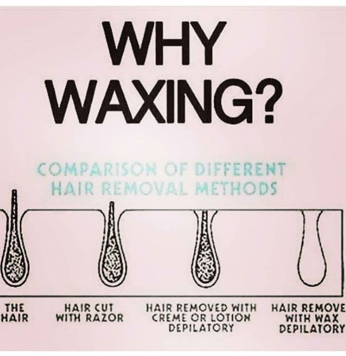 Why Should You Wax Your Hair? - Why Should You Wax Your Hair? -   18 beauty Therapy marketing ideas