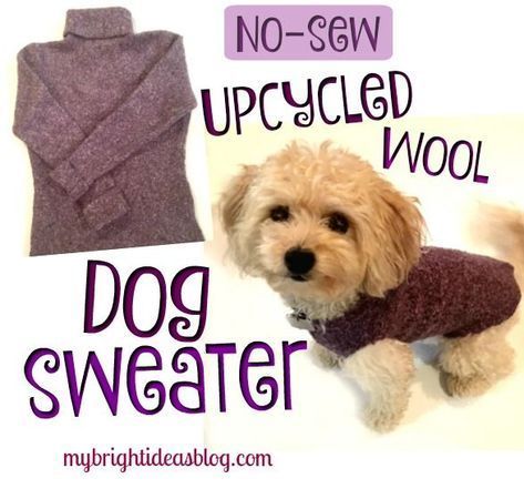 Easy Dog Coat from an Upcycled Sweater - My Bright Ideas - Easy Dog Coat from an Upcycled Sweater - My Bright Ideas -   18 diy Dog coat ideas