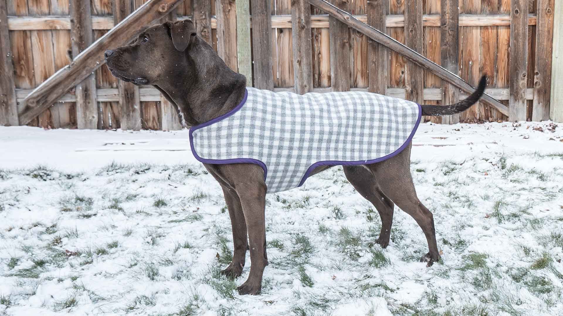 Dog Coat - Dog Coat -   18 diy Dog coat ideas