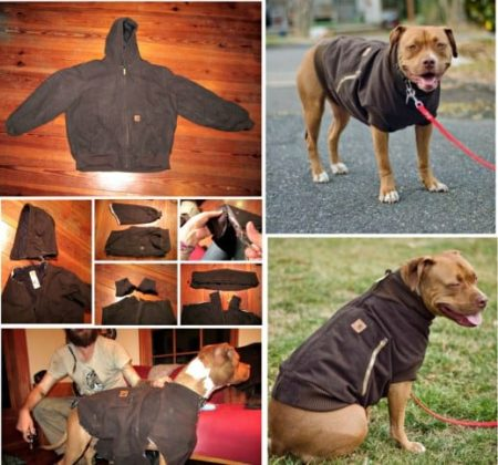DIY Dog Coat Pattern Quick and Easy Project Video Tutorial - DIY Dog Coat Pattern Quick and Easy Project Video Tutorial -   18 diy Dog coat ideas