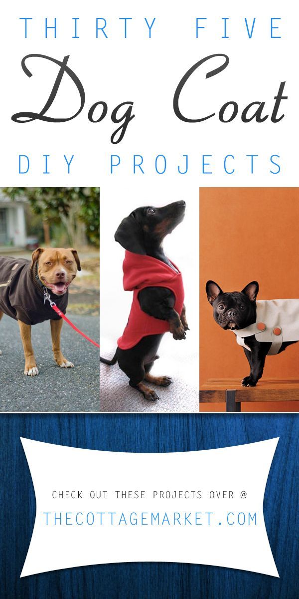 18 diy Dog coat ideas