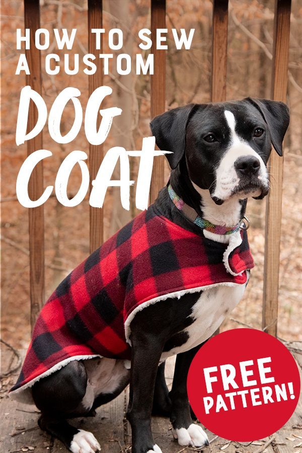 How to Sew a Cozy Custom Dog Coat in Less than an Hour - How to Sew a Cozy Custom Dog Coat in Less than an Hour -   18 diy Dog coat ideas