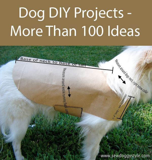 The Ultimate Guide To Dog DIY Projects – Part 10 - The Ultimate Guide To Dog DIY Projects – Part 10 -   18 diy Dog coat ideas