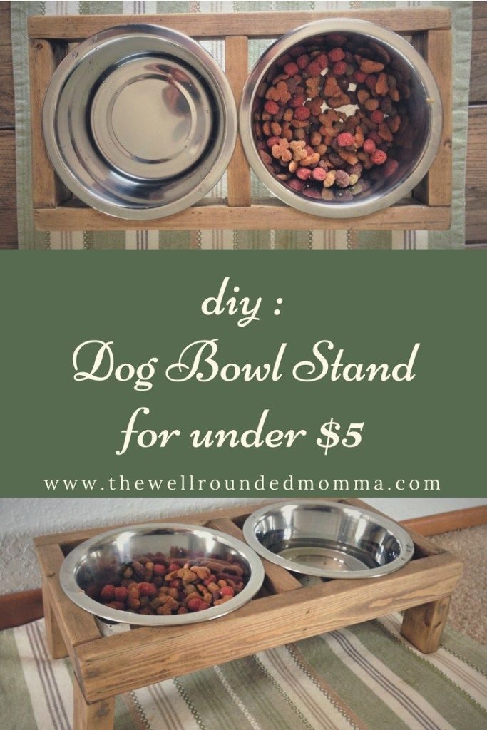 DIY Dog Bowl Stand For Less Than $5! - Time for an Upgrade... - - DIY Dog Bowl Stand For Less Than $5! - Time for an Upgrade... - -   18 diy Dog feeder ideas
