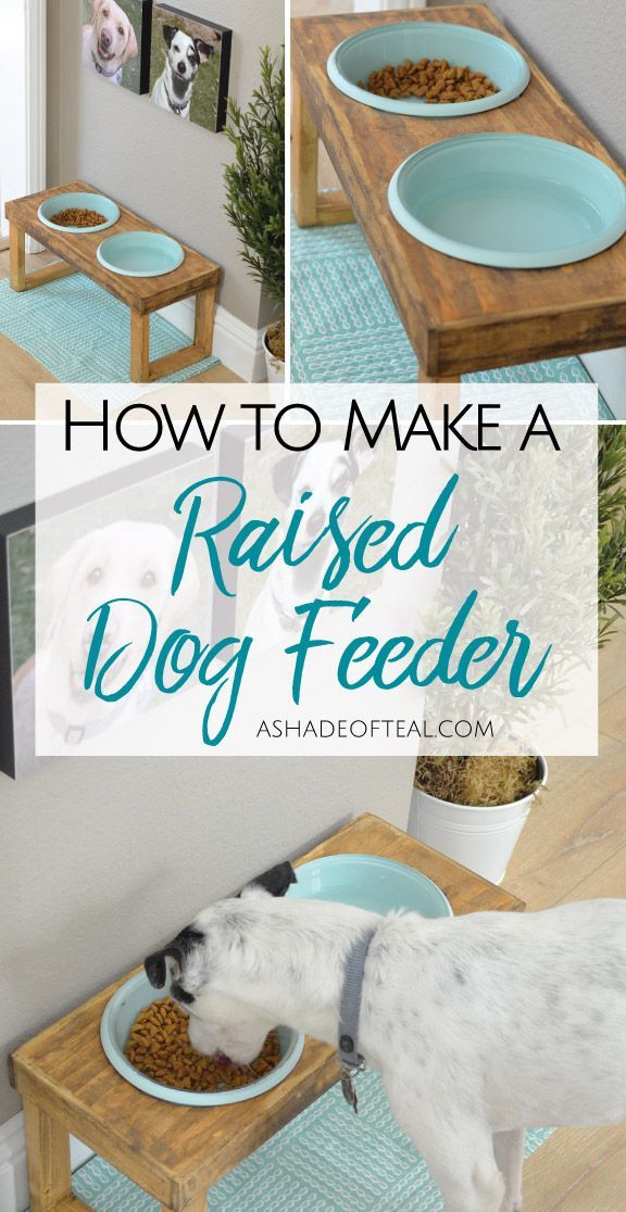 How to Make a Raised Dog Feeder - How to Make a Raised Dog Feeder -   18 diy Dog feeder ideas