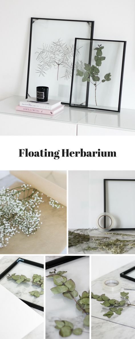 DIY: Floating Frame Herbarium - so bastelt ihr den schwebenden Rahmen! - DIY: Floating Frame Herbarium - so bastelt ihr den schwebenden Rahmen! -   18 diy Ideen wohnung ideas