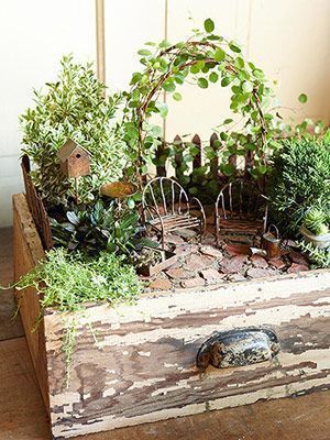 Create a Magical Miniature Garden - Create a Magical Miniature Garden -   18 great garden diy ideas