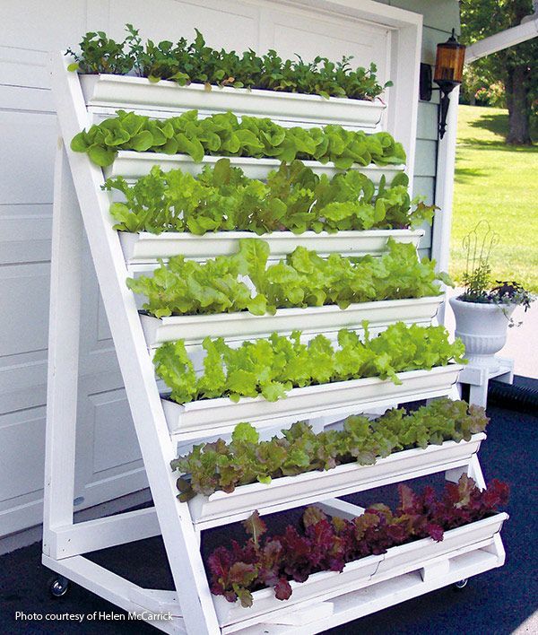 Grow greens in this DIY vertical garden - Grow greens in this DIY vertical garden -   18 great garden diy ideas