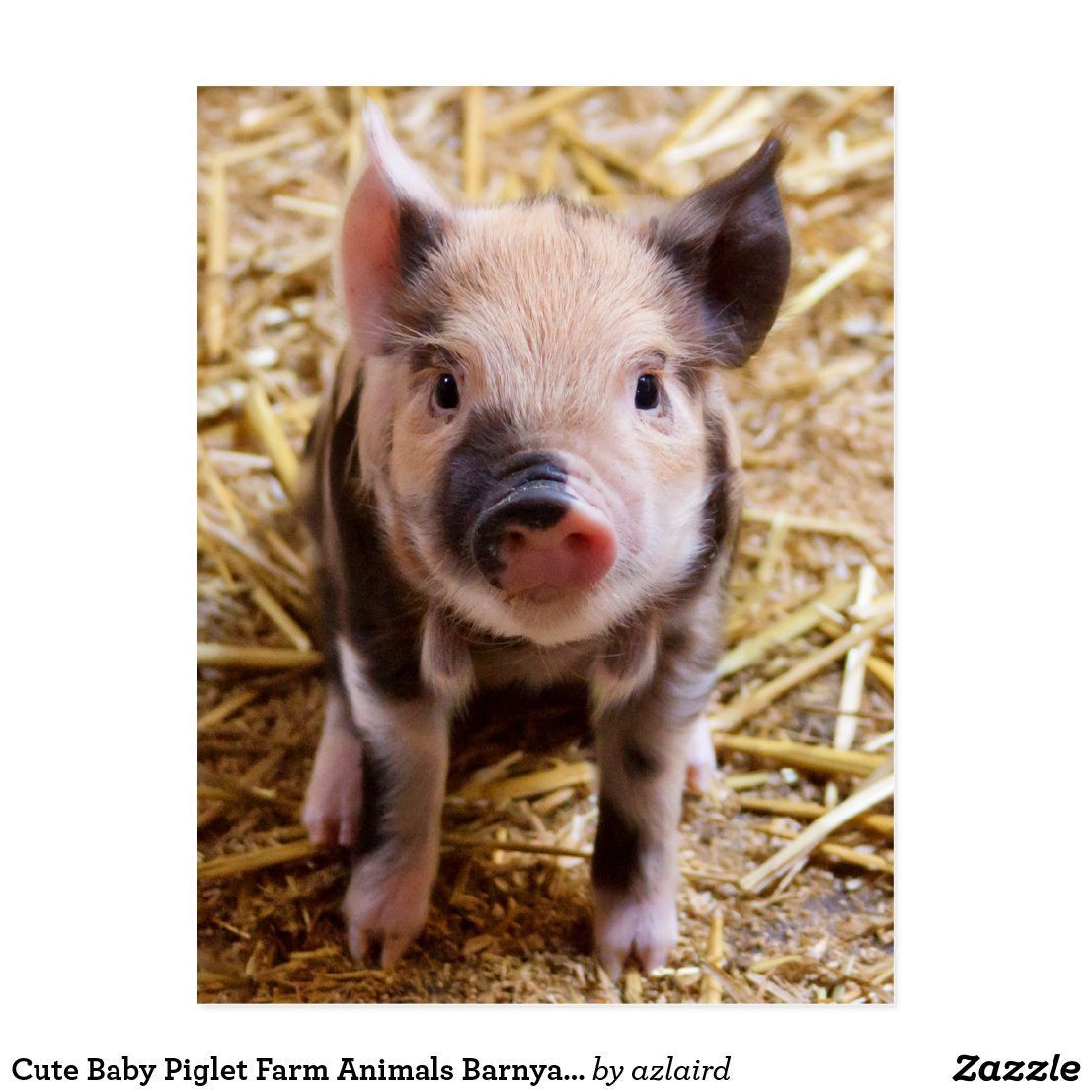 19 beauty Animals farm ideas