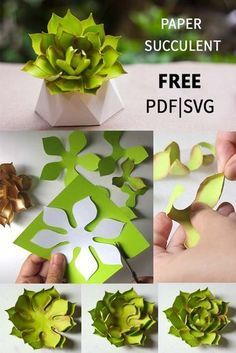 How to make paper succulent, free PDF and SVG template - How to make paper succulent, free PDF and SVG template -   19 diy Paper succulents ideas
