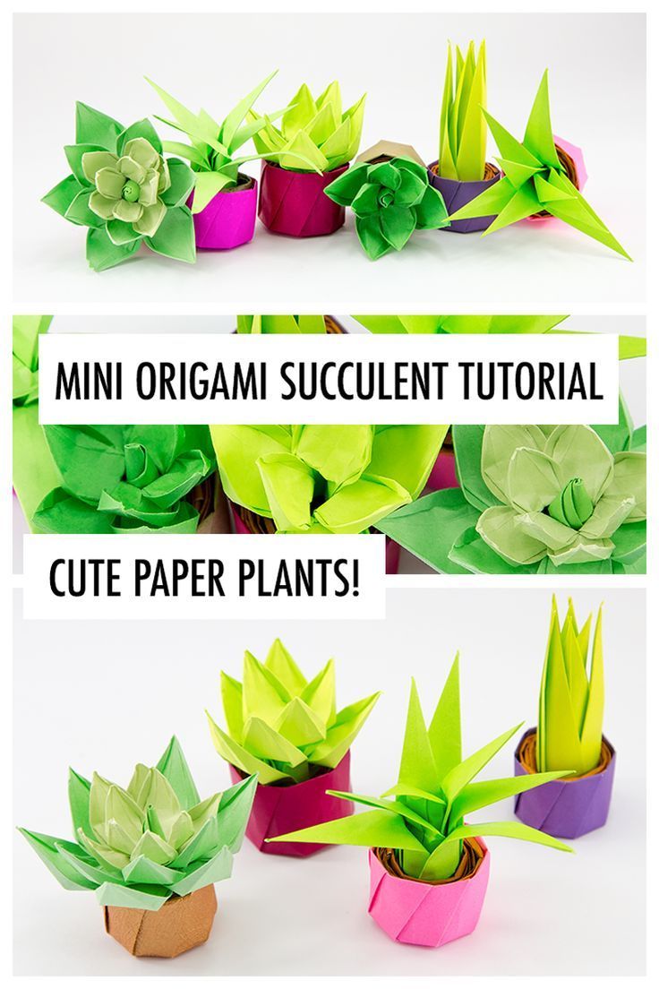 Kraft W?rfel mit Herzen - DIY Papier Blog - Kraft W?rfel mit Herzen - DIY Papier Blog -   19 diy Paper succulents ideas