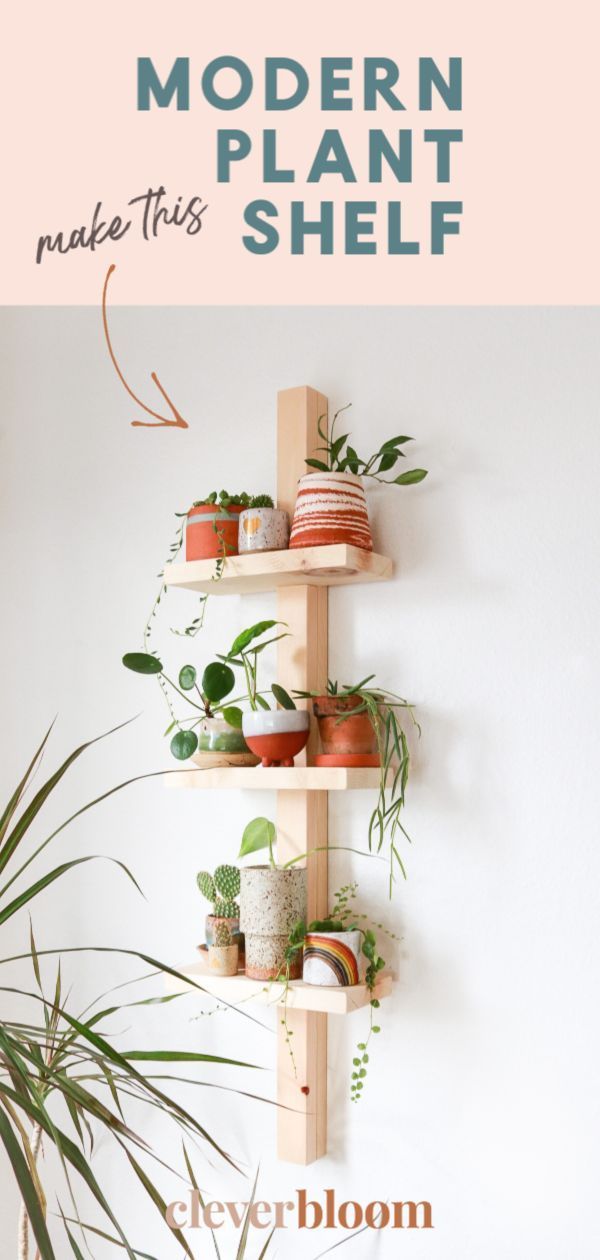 Easy Modern Plant Shelf DIY to Display Plants - Easy Modern Plant Shelf DIY to Display Plants -   19 diy Shelves easy ideas