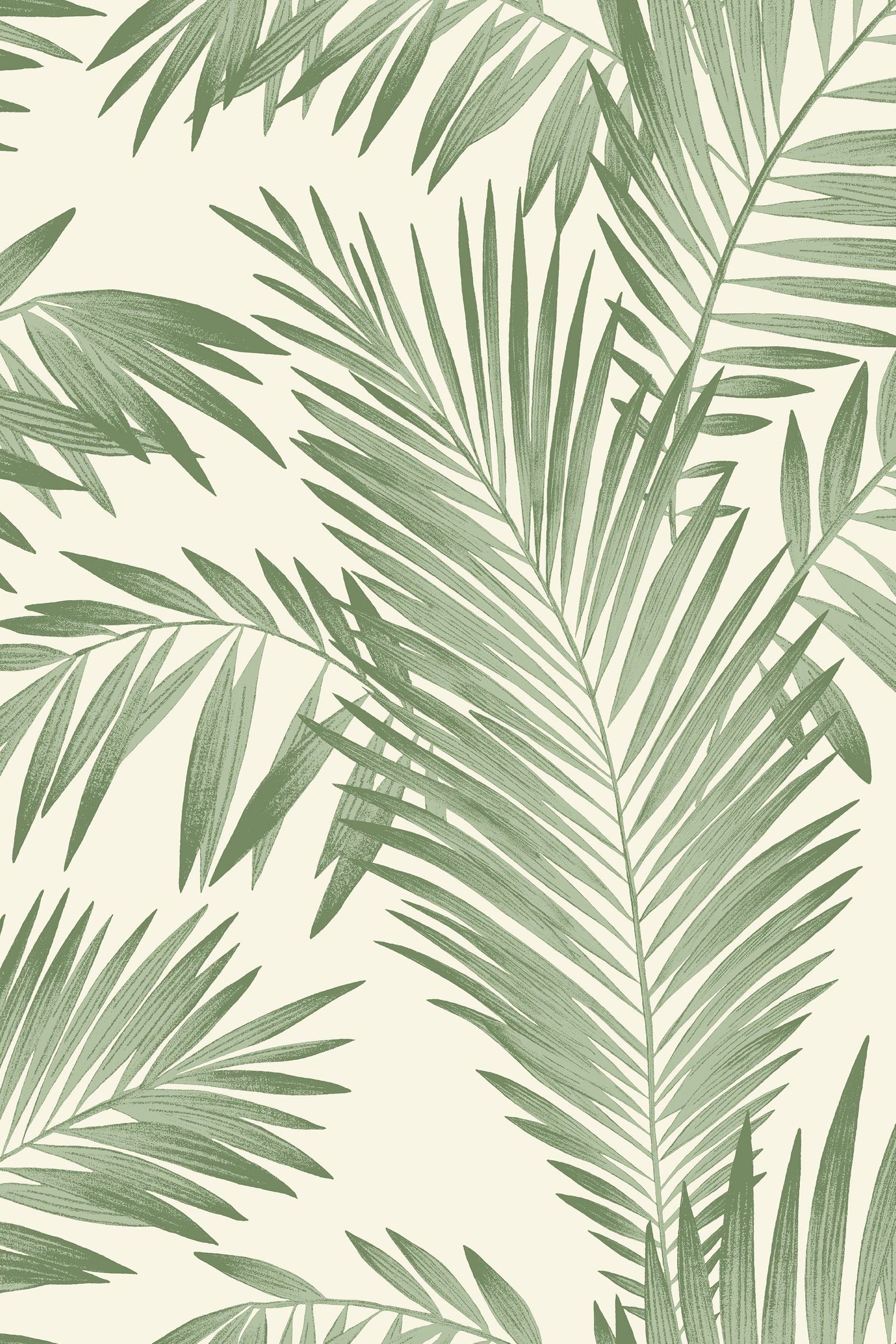 Buy Arthouse Tropical Palm Wallpaper from the Next UK online shop - Buy Arthouse Tropical Palm Wallpaper from the Next UK online shop -   14 beauty Wallpaper green ideas