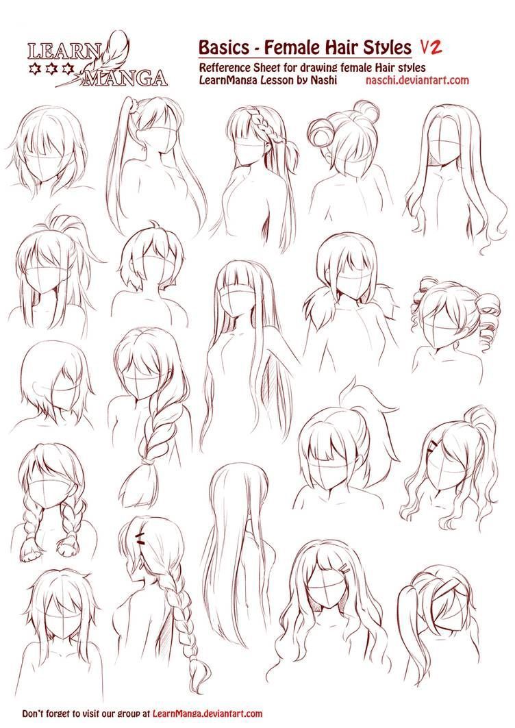 Learn Manga Basics Female Hair styles V2 by Naschi on DeviantArt - Learn Manga Basics Female Hair styles V2 by Naschi on DeviantArt -   15 style Hair draw ideas