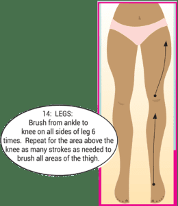 Skin Brushing With A Dry Brush: Why And How, Step By Step | GreenSmoothieGirl - Skin Brushing With A Dry Brush: Why And How, Step By Step | GreenSmoothieGirl -   17 best beauty Treatments ideas