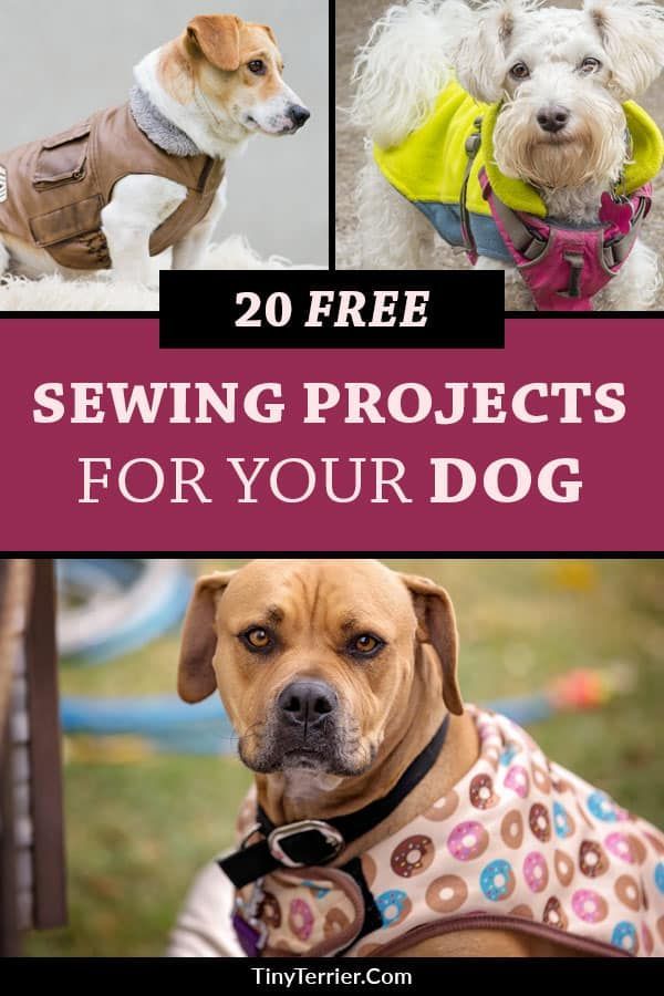 20 Free Sewing Projects for Dogs | DIY Dog Sewing Patterns & Tutorials - 20 Free Sewing Projects for Dogs | DIY Dog Sewing Patterns & Tutorials -   17 diy Dog coat ideas