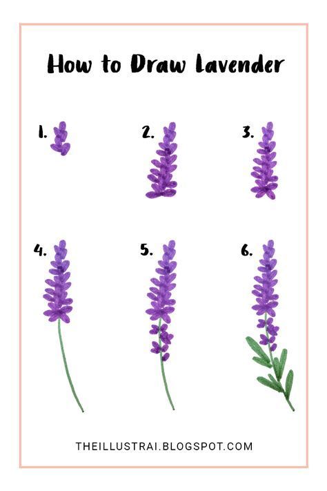 The Illustrai: How to Draw Lavender in 6 Easy Steps - The Illustrai: How to Draw Lavender in 6 Easy Steps -   18 beauty Drawings watercolour ideas