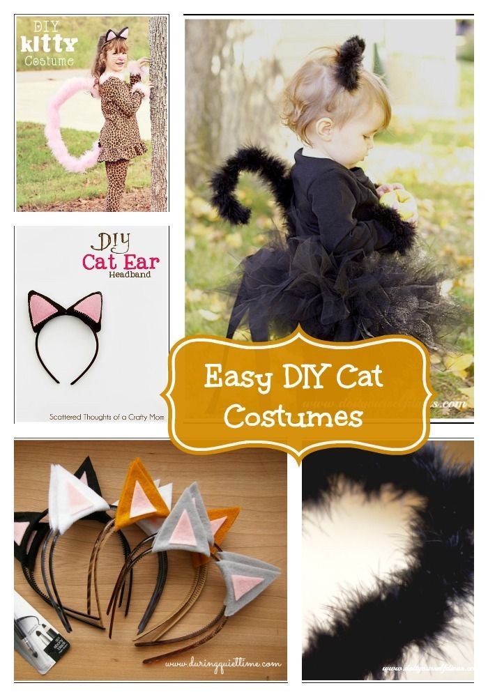 18 diy Halloween Costumes cat ideas