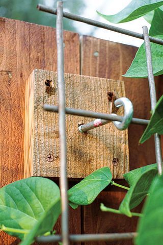 Easy DIY: How to Turn a Fence Into a Trellis - Easy DIY: How to Turn a Fence Into a Trellis -   19 diy Garden fence ideas
