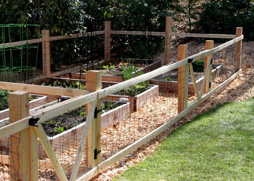 A Simple Garden Fence | Tilly's Nest - A Simple Garden Fence | Tilly's Nest -   19 diy Garden fence ideas