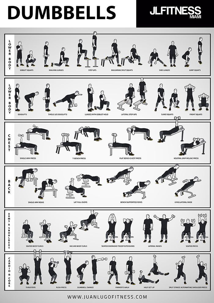 Dumbbell Training- 31 Illustrated Exercises Poster - Dumbbell Training- 31 Illustrated Exercises Poster -   19 fitness Equipment plan ideas