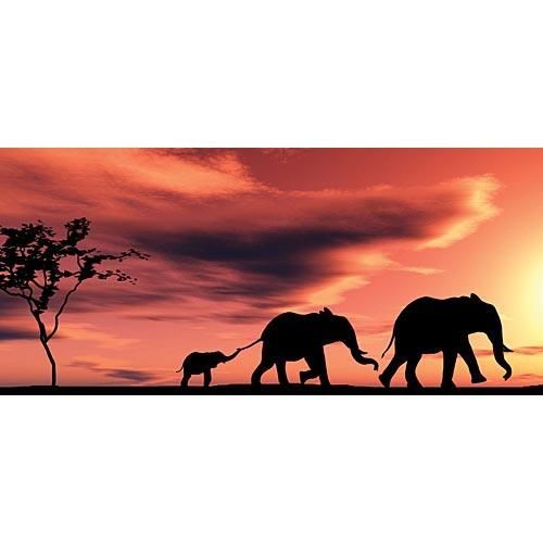 African Sunset Photo Backdrop - African Sunset Photo Backdrop -   15 beauty Background sunset ideas