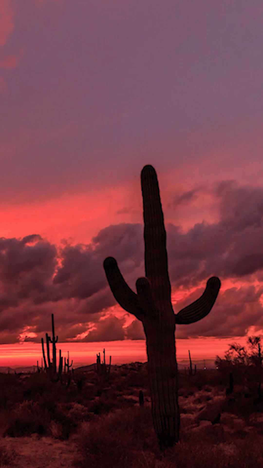 Vibrant Desert Sunset Time Lapse Stock Footage Video (100% Royalty-free) 1041982405 | Shutterstock - Vibrant Desert Sunset Time Lapse Stock Footage Video (100% Royalty-free) 1041982405 | Shutterstock -   15 beauty Background sunset ideas