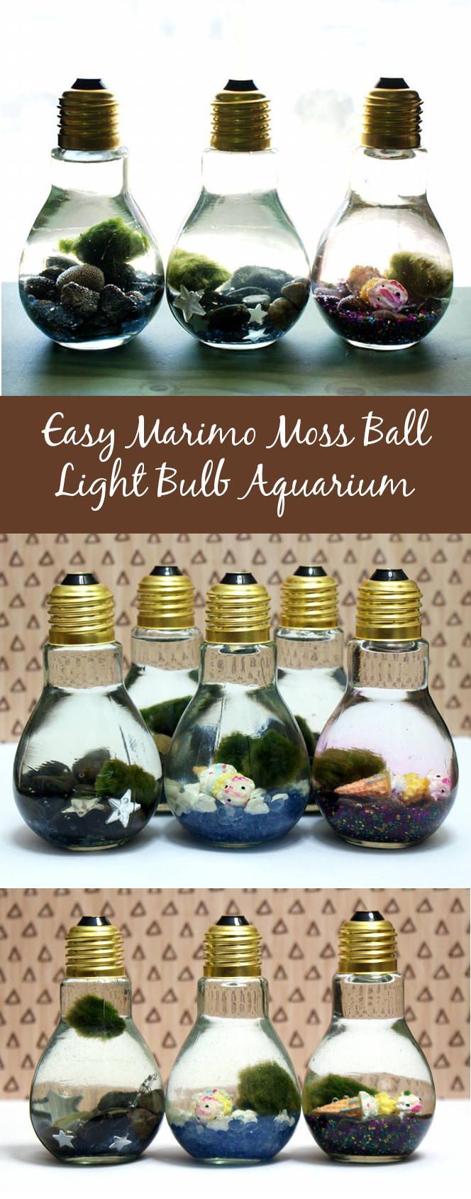 Easy DIY Light Bulb Aquarium - Easy DIY Light Bulb Aquarium -   18 diy 100 inspiration ideas