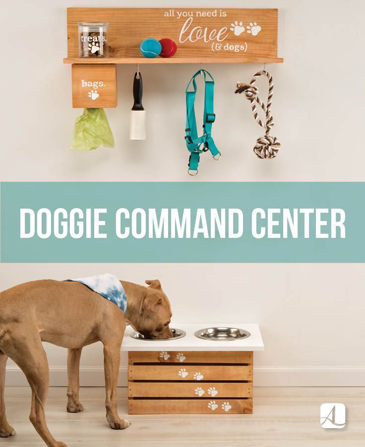 Pup Command Center - American Lifestyle Magazine - Pup Command Center - American Lifestyle Magazine -   19 diy Dog organization ideas