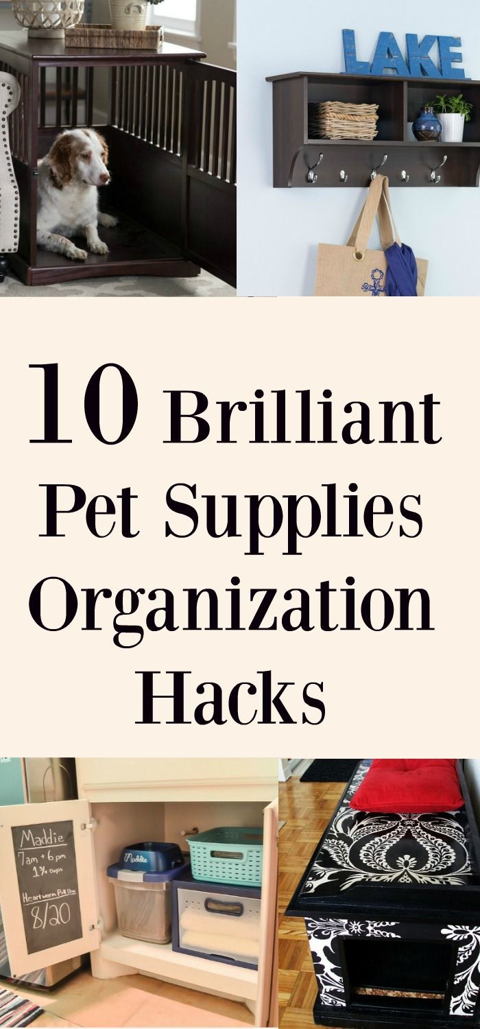 10 Brilliant Pet Supplies Organization Hacks - 10 Brilliant Pet Supplies Organization Hacks -   19 diy Dog organization ideas
