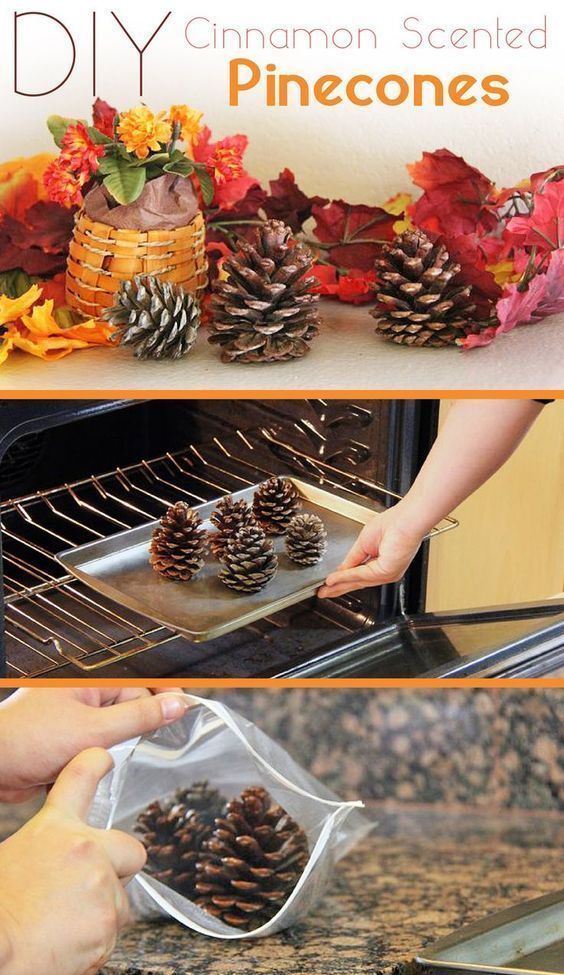 How to Make Cinnamon-Scented Pinecones (Two Easy Tutorials) | eHow.com - How to Make Cinnamon-Scented Pinecones (Two Easy Tutorials) | eHow.com -   17 fall home decor diy thanksgiving decorations ideas