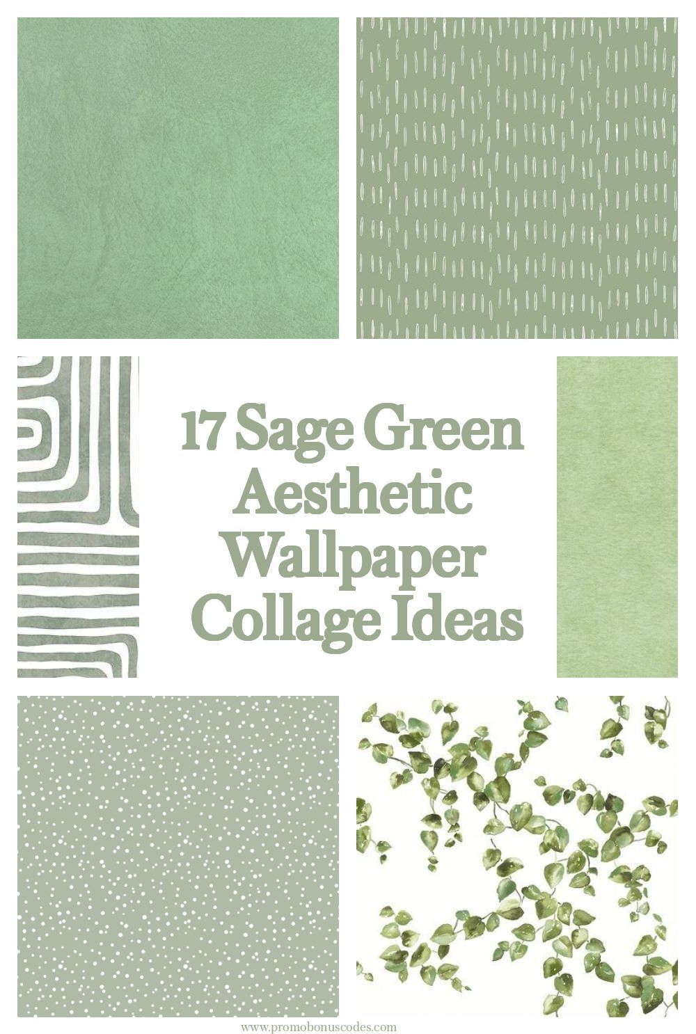 sage green aesthetic wallpaper collage