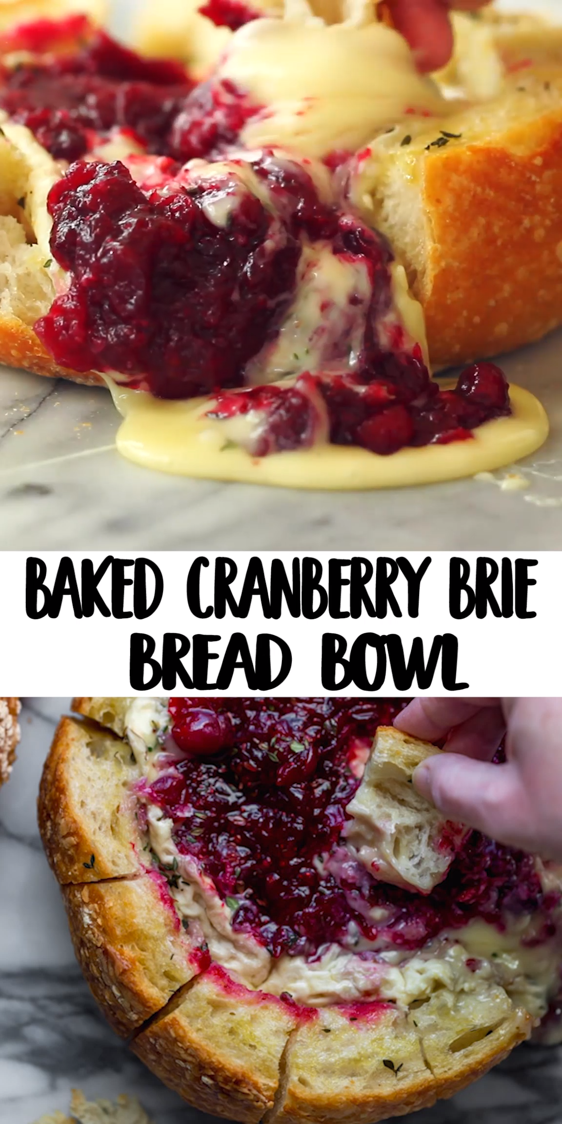 BAKED CRANBERRY BRIE BREAD BOWL - BAKED CRANBERRY BRIE BREAD BOWL -   18 thanksgiving appetizers easy ideas