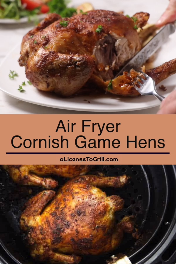 Air Fryer Cornish Game Hen - Air Fryer Cornish Game Hen -   19 air fryer recipes chicken whole ideas