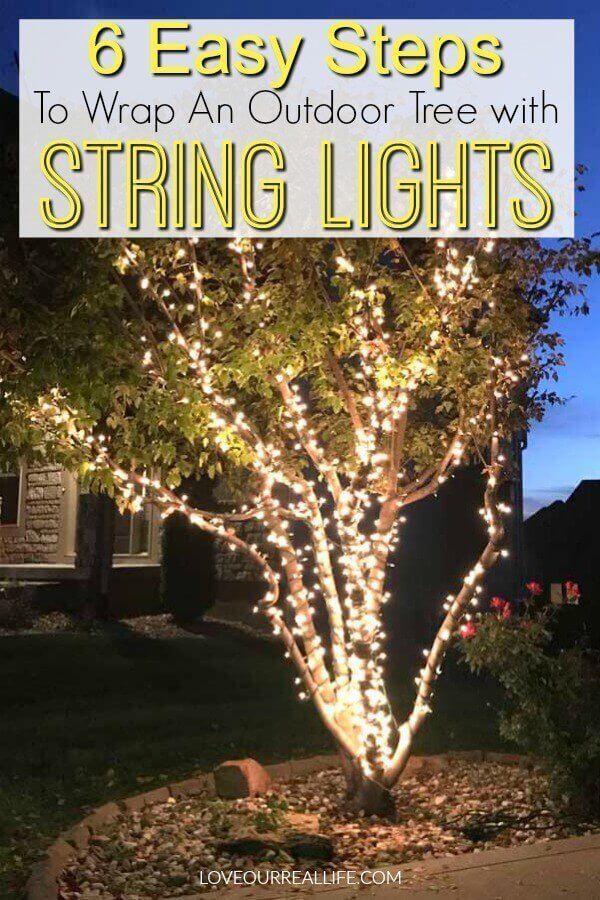 Wrap Lights on an Outdoor Tree in 6 Easy Steps ? Love Our Real Life - Wrap Lights on an Outdoor Tree in 6 Easy Steps ? Love Our Real Life -   19 christmas decor outdoor lights ideas
