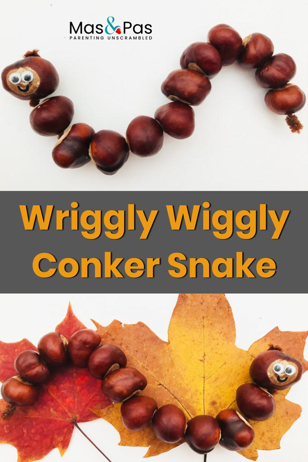Wriggly wiggly conker snake - Wriggly wiggly conker snake -   19 diy Kids autumn ideas