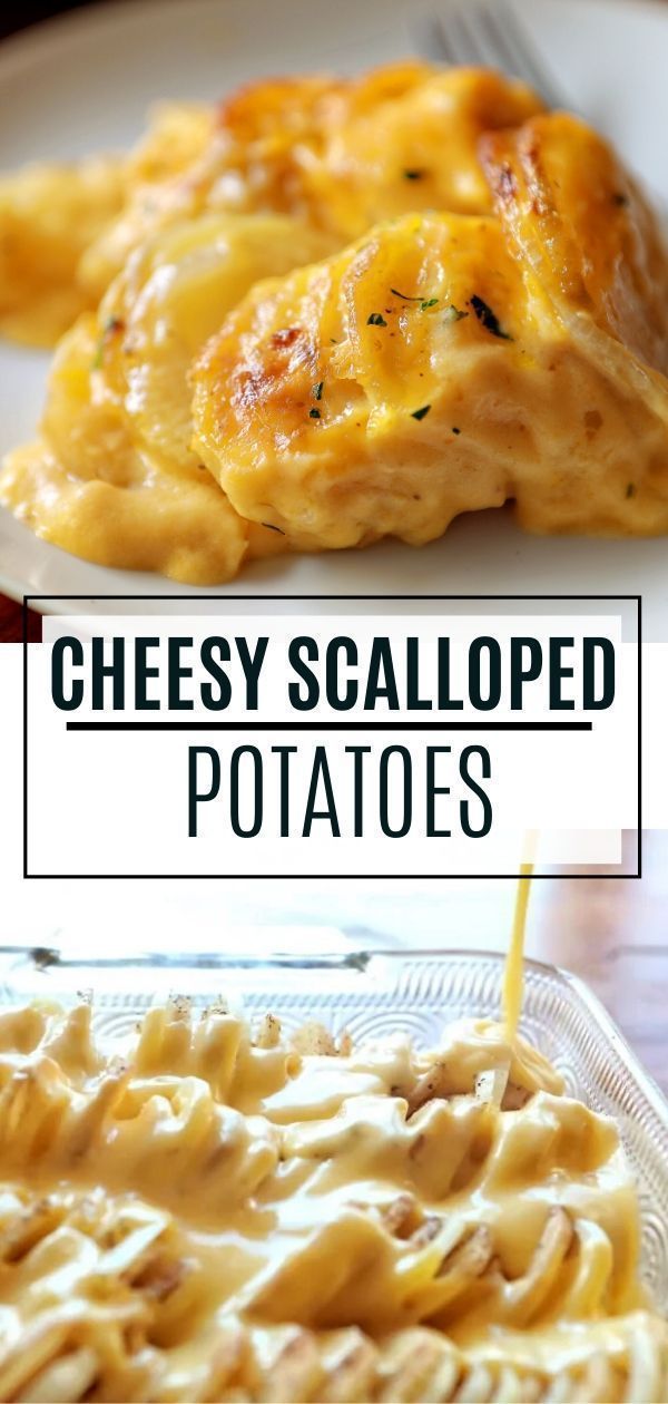 Cheesy Scalloped Potatoes Recipe - Cheesy Scalloped Potatoes Recipe -   19 easy healthy thanksgiving sides ideas