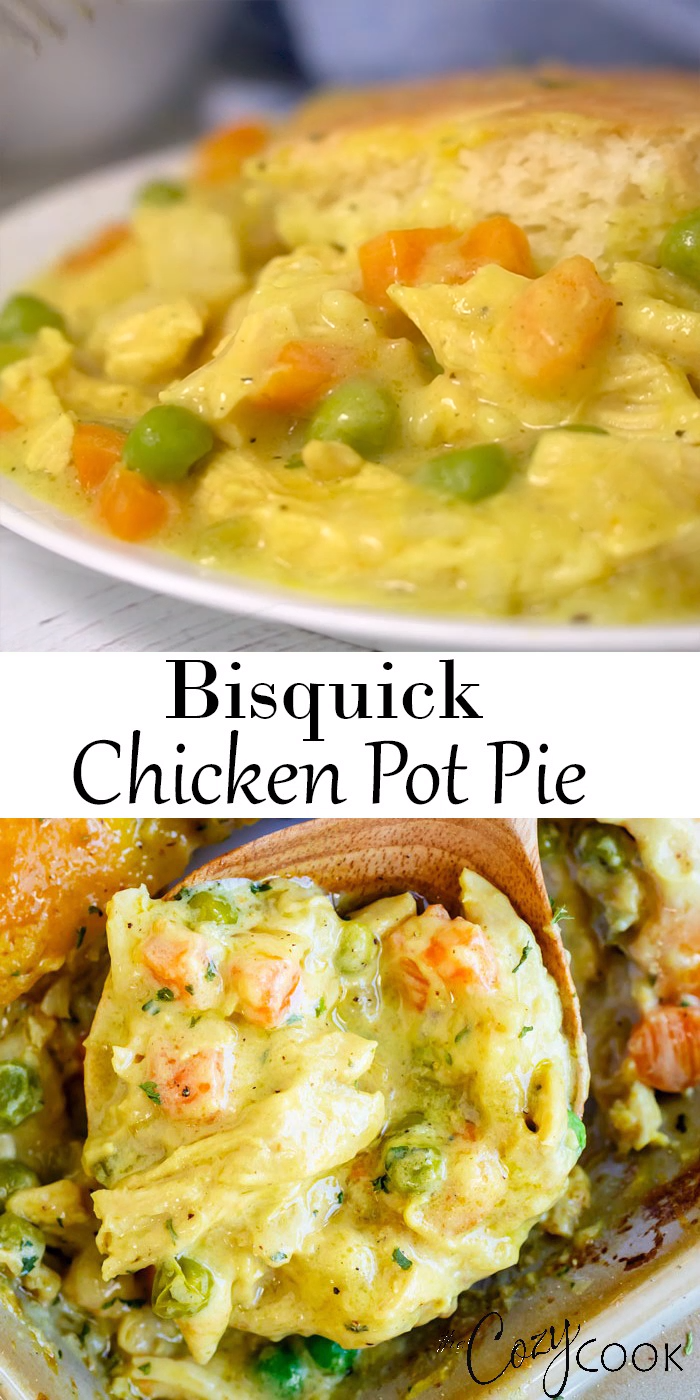 Bisquick Chicken Pot Pie - Bisquick Chicken Pot Pie -   18 turkey pot pie soup crockpot ideas